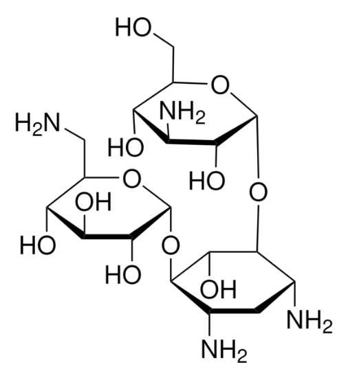 Kanamycin solution from Streptomyces kanamyceticus, 1 X 20 mL (K0254-20ML)