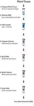 GenElute™ Plant Genomic DNA Miniprep Kit, 1 X 1 kit (G2N10-1KT)