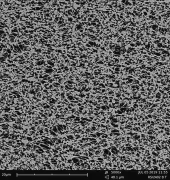 PTFE Membrane Filter, 0.4 μm Pore Size, 1 ea (BGCM00010)