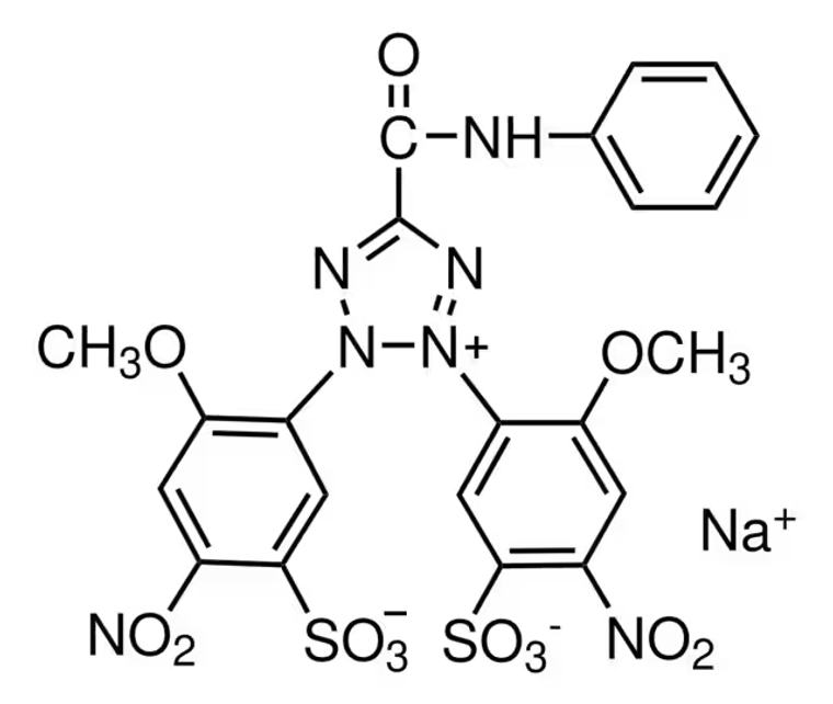 XTT sodium salt, 1 X 500 mg (X4626-500MG)