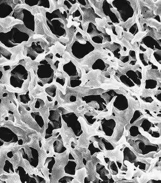 PVDF Membrane Filter, 0.45 μm Pore Size, 100 filters (HVLP04700)