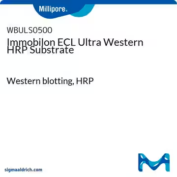 Immobilon ECL Ultra Western HRP Substrate, 1 X 500 mL (WBULS0500)