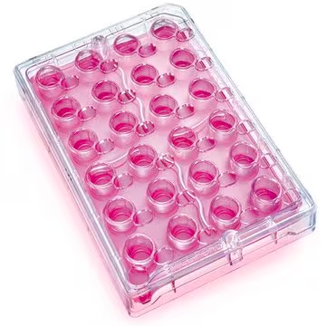 Millicell® 24 well Plate, 5 ea (PSRP010R5)