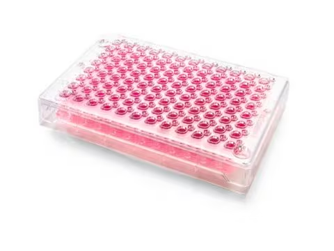Millicell® 96 well Plate, 1 ea (PSHT004R1)