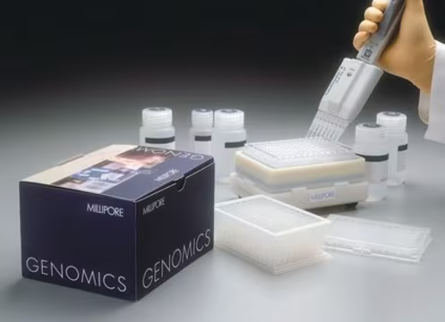 Plasmid Miniprep₉₆ Kit, 4 ea (LSKP09604)