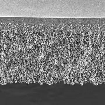 Regenerated Cellulose Membrane Filter, 1 kDa NMWCO, 10 ea (PLAC04310)
