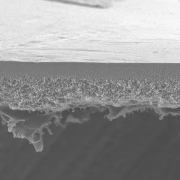 PES Membrane Filter, 500 kDa NMWCO, 10 ea (PBVK04310)