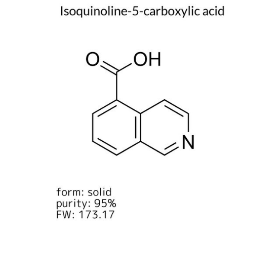 Isoquinoline-5-carboxylic acid, 1 X 250 mg (722626-250MG)