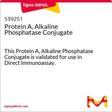 Protein A, Alkaline Phosphatase Conjugate, 1 X 1 mg (539251-1MG)
