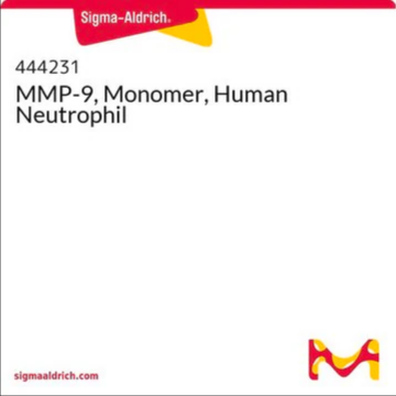 MMP-9, Monomer, Human Neutrophil, 5 µG (444231-5UG)