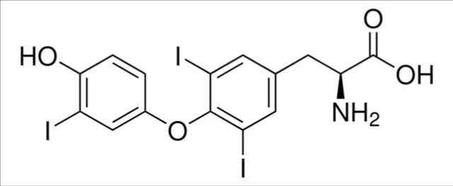 3,3′,5-Triiodo-L-thyronine (T₃) solution, 1 X 1 mL (T-074-1ML)