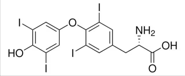 Levothyroxine, 1 g (PHR1613-1G)