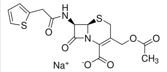 Cefalotin for impurity B identification, 1 X 10 mg (Y0000505)