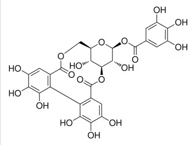 Corilagin, 10 mg (PHL80390-10MG)