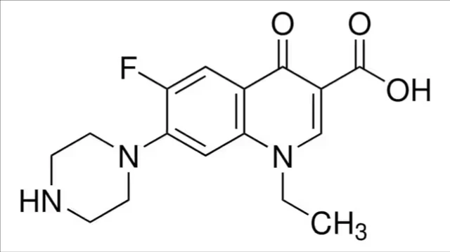 Norfloxacin, 1 g (PHR1614-1G)