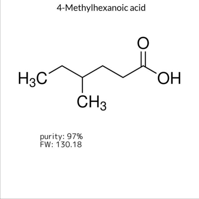 4-Methylhexanoic acid, 1 X 5 g (559016-5G)