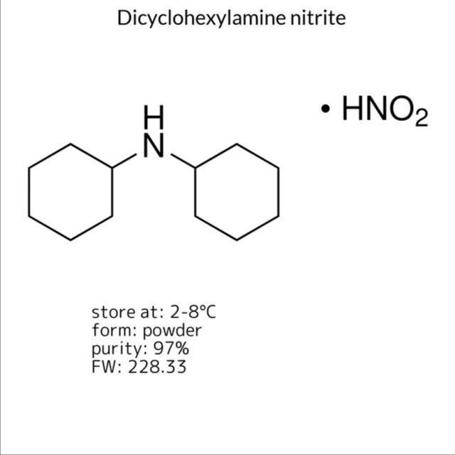 Dicyclohexylamine nitrite, 1 X 100 g (317837-100G)