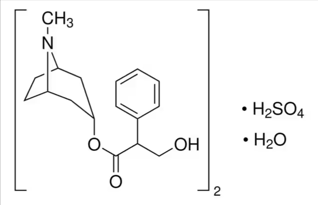 Atropine Sulfate, 1 X 1 g (PHR1379-1G)