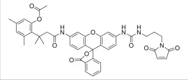 Maleimidolinourea-Rh110-trimethyl lock, 1 X 5 mg (776025-5MG)