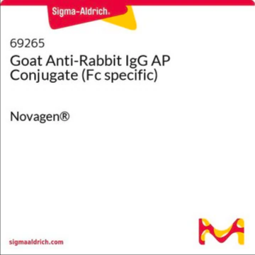 Goat Anti-Rabbit IgG AP Conjugate (Fc specific), 40 μL (69265-3)