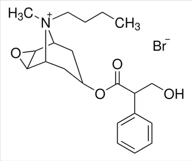 Hyoscine butylbromide for system suitability, 1 X 10 mg (Y0001983)
