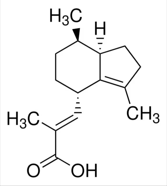 Valerian standardised dry extract, 1 X 500 mg (Y0000583)