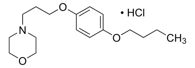 Pramoxine hydrochloride, 1 X 1 g (PHR1302-1G)