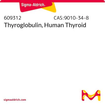 Thyroglobulin, Human Thyroid, 1 X 1 mg (609312-1MG)