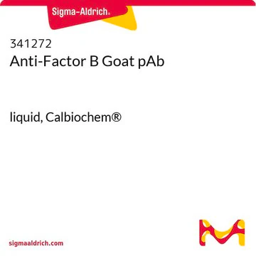 Anti-Factor B Goat pAb, 1 X 2 mL (341272-2ML)