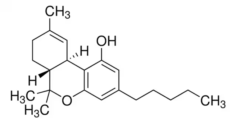 (−)-trans-Δ⁹-THC solution, 1 X 1 mL (T-005-1ML)