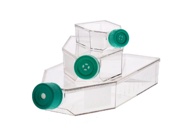 ASI™ Collagen Type I Coated Cell Culture Flask