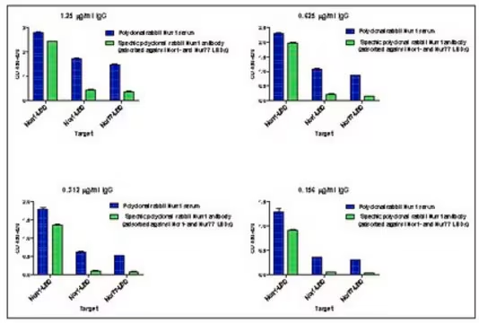 Anti-Nurr-1, 1 X 100 μL (ABN1675)
