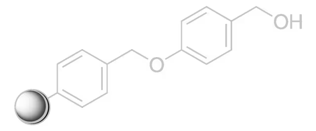 Wang resin, 1 X 10 g (17095-10G)