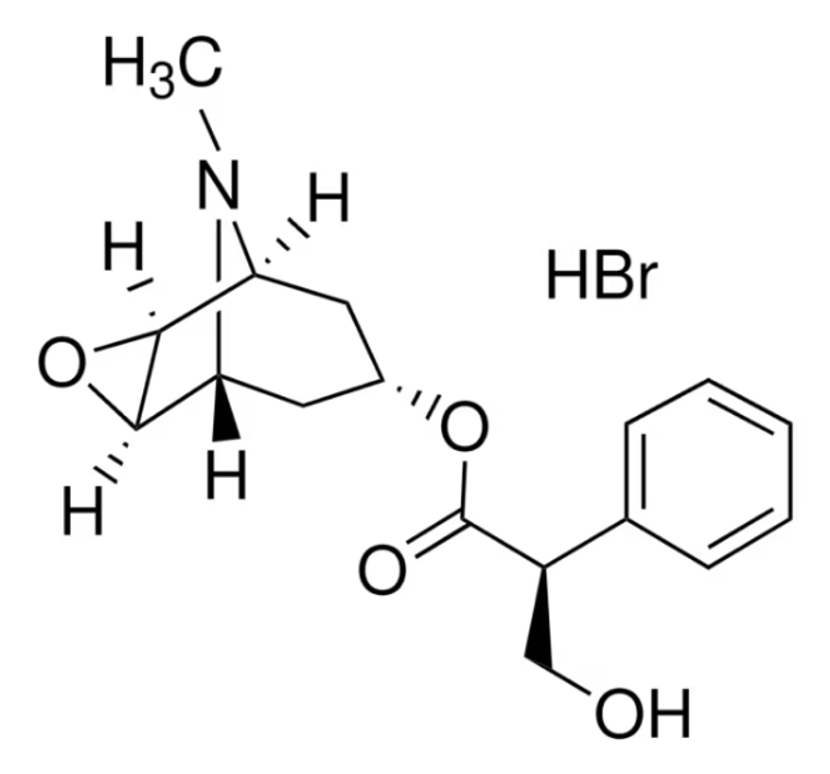 Scopolamine Hydrobromide, 500 mg (PHR1470-500MG)