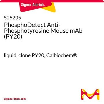 PhosphoDetect Anti-Phosphotyrosine Mouse mAb (PY20), 100 µG (525295-100UG)
