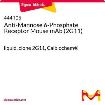 Anti-Mannose 6-Phosphate Receptor Mouse mAb (2G11), 100 µG (444105-100UG)