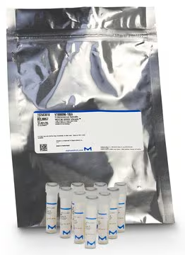 Vitroids™ Blank 0 CFU, 1 X 10 ea (RQC0001-10EA)