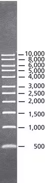 DirectLoad™ 1 kb DNA Ladder, 1 X 1 vial (D3937-1VL)