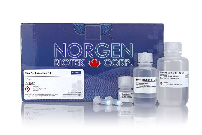 Norgen Biotek™ DNA Gel Extraction Kit