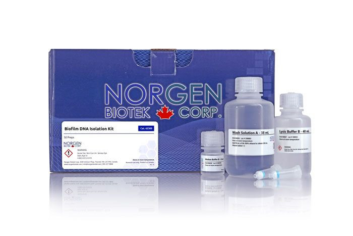 Norgen Biotek™ Biofilm DNA Isolation Kit, 50 Preps