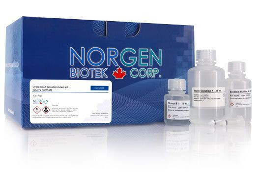 Norgen Biotek™ Urine DNA Isolation Maxi Kit (Slurry Format), 50 Preps