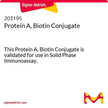 Protein A, Biotin Conjugate, 1 X 2 mg (203195-2MG)