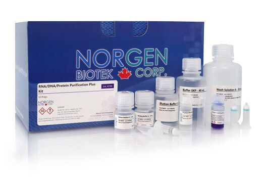 Norgen Biotek™ RNA/DNA/Protein Purification Plus Spin Column Kit, 50 Preps