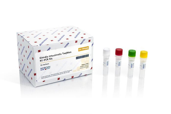 Norgen Biotek™ Giardia intestinalis TaqMan RT-PCR Kit Dx, 24 Reactions