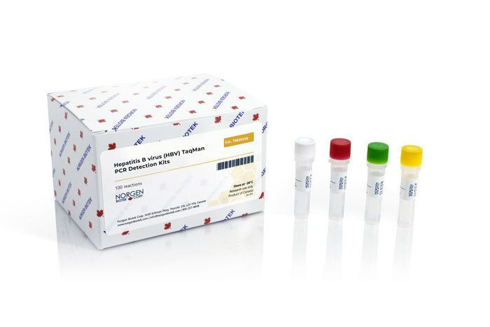 Norgen Biotek™ HBV TaqMan Probe/Primer and Control Set, 100 Reactions