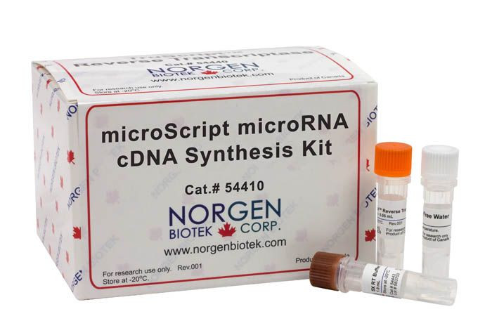 Norgen Biotek™ microScript microRNA cDNA Synthesis Kit, 50 Reactions