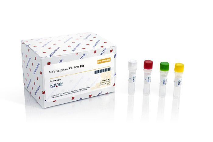 Norgen Biotek™ NoV TaqMan RT-PCR Kit Dx, 24 Reactions