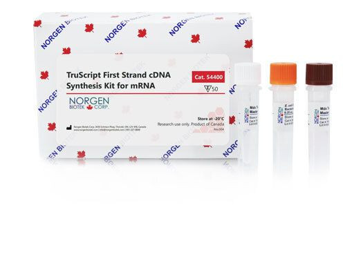 Norgen Biotek™ TruScript First Strand cDNA Synthesis Kit for mRNA, 50 Reactions