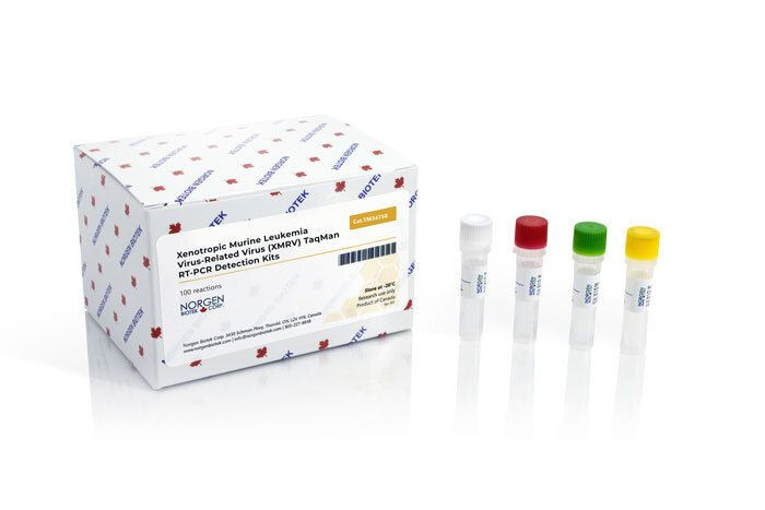 Norgen Biotek™ XMRV TaqMan RT-PCR Kit, 100 Reactions
