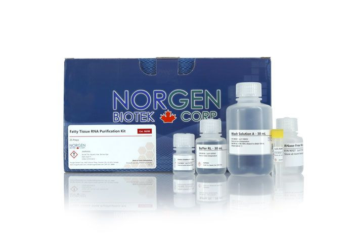 Norgen Biotek™ Fatty Tissue RNA Purification Spin Column Kit, 25 Preps